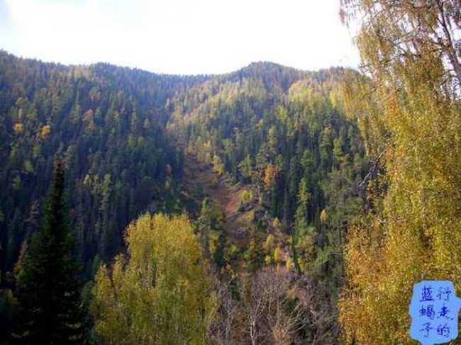 新疆圆舞曲4,图八