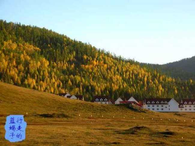 新疆圆舞曲2,图三