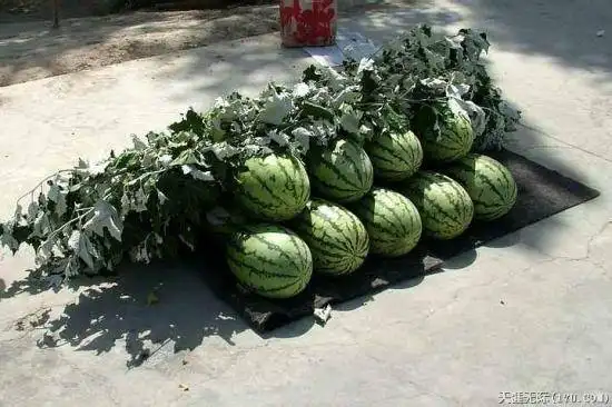 穿越塔克拉玛干（上）