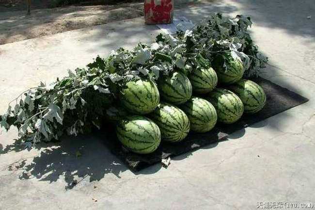 穿越塔克拉玛干(上),图十四