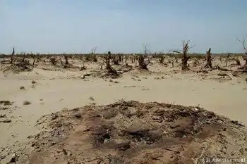 穿越塔克拉玛干（中）,图十二