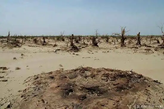 穿越塔克拉玛干（中）