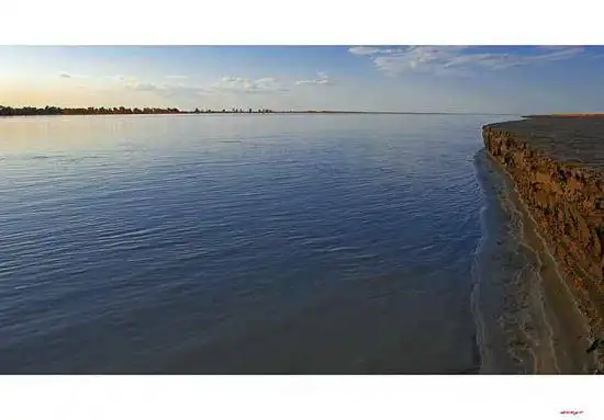 陶醉在塔里木河畔