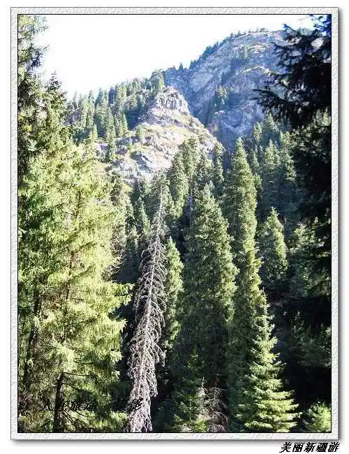 天山天池－－美丽新疆游