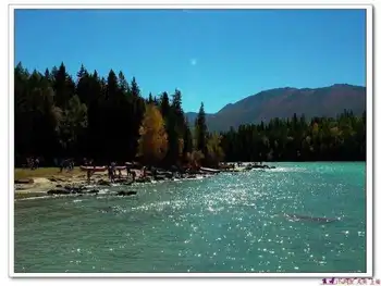 星光灿烂的喀纳斯湖,图十八