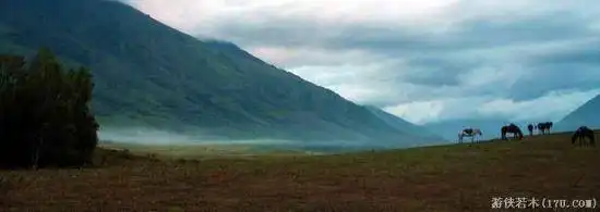 禾木一个童话世界（北疆纪行）