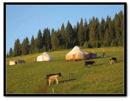 塞里木湖那拉提草原巩乃斯草原