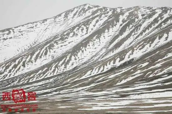 6月15号日记---叶城