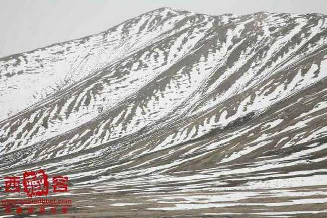 6月15号日记---叶城,图一