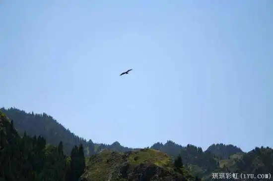 北疆自然揽胜之一:美若碧玉的天山明珠