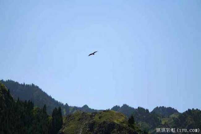 北疆自然揽胜之一:美若碧玉的天山明珠,图十二