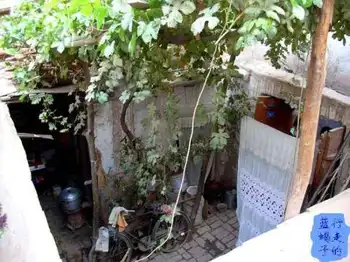 新疆圆舞曲10,图十八