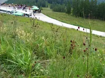 北疆行(4)-在禾木看日落,图十一