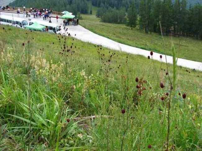 北疆行(4)-在禾木看日落,图十一