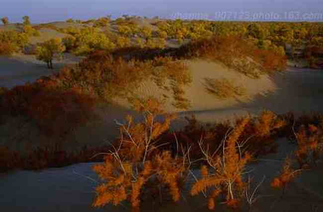 新疆风光,图十三