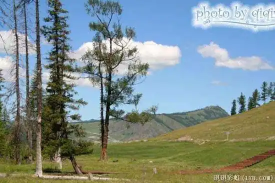 北疆自然揽胜之三：纯美翡翠喀纳斯