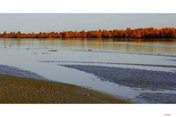 陶醉在塔里木河畔,图十