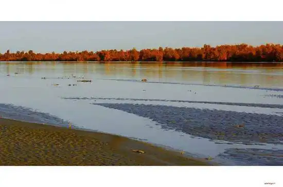 陶醉在塔里木河畔