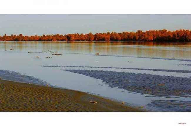 陶醉在塔里木河畔,图十