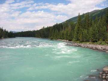 天堂很远喀纳斯很近,图七