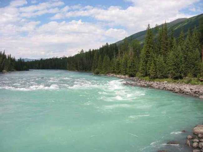 天堂很远喀纳斯很近,图七