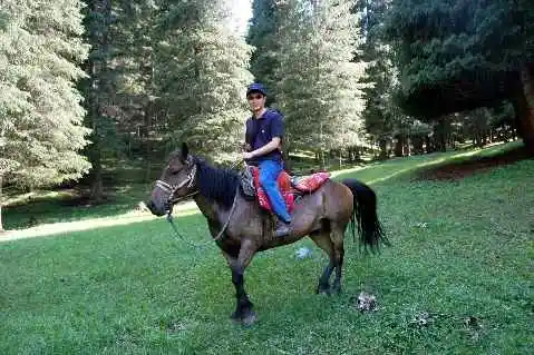 (北疆之六)南山牧场