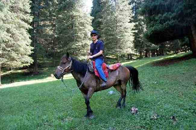 (北疆之六)南山牧場,圖十七