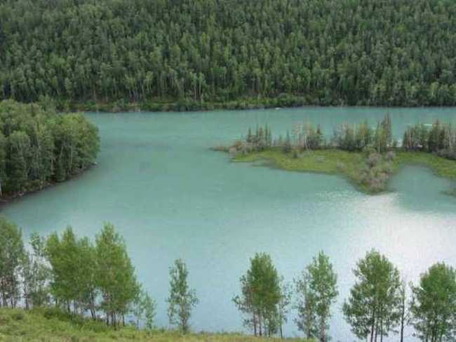 天堂很远喀纳斯很近,图十