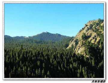 天山天池--美丽新疆游,图四