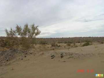 新疆的点滴印象,图三