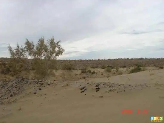 新疆的点滴印象