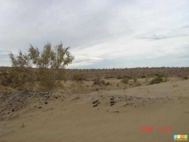 新疆的點滴印象,圖三