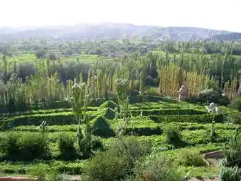 迷人的葡萄沟---新疆吐鲁番,图二