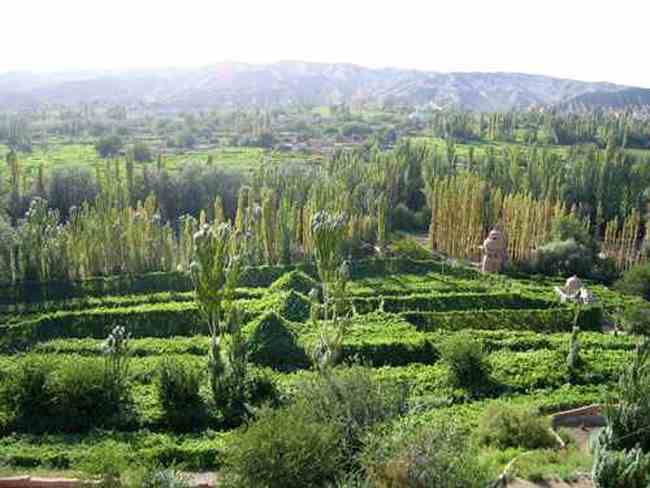 迷人的葡萄沟---新疆吐鲁番,图二