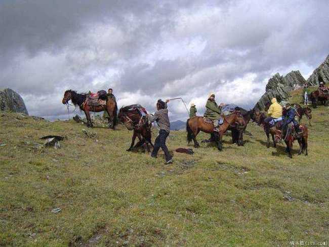 喀纳斯东线马帮探奇游(三),图六