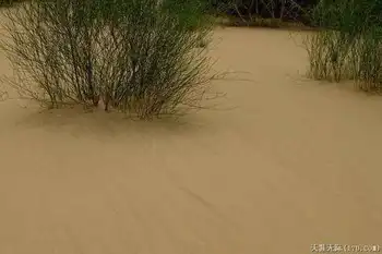 穿越塔克拉玛干（下）,图十四