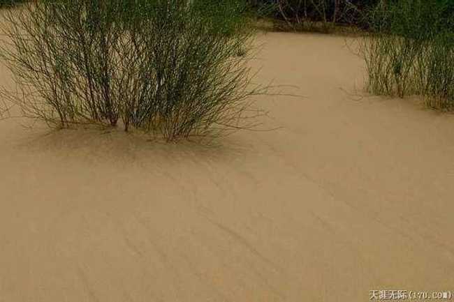 穿越塔克拉玛干（下）,图十四