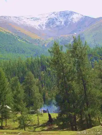 喀纳斯东线马帮探奇游(四),图八