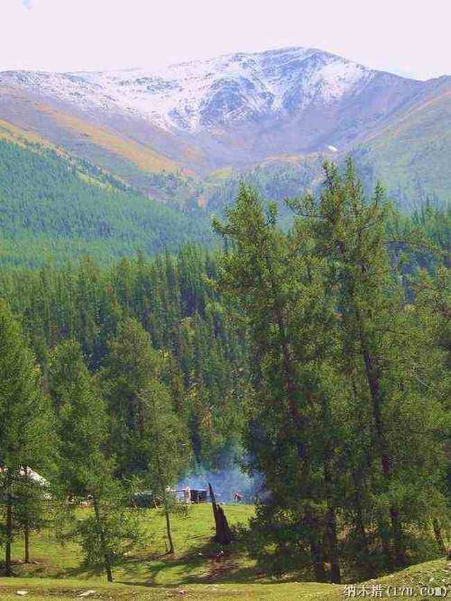 喀纳斯东线马帮探奇游(四),图八