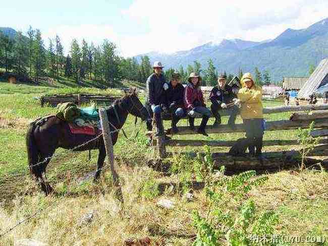 喀纳斯东线马帮探奇游(四),图三