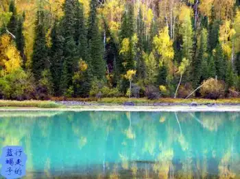 新疆圆舞曲6,图十六