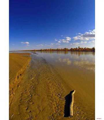 陶醉在塔里木河畔,图十三