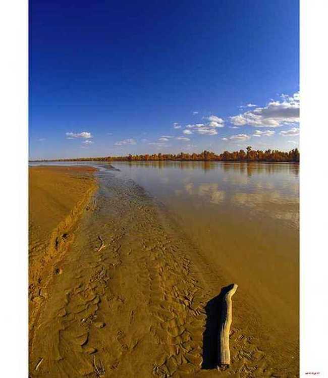 陶醉在塔里木河畔,图十三
