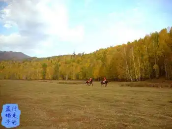 新疆圆舞曲3,图一