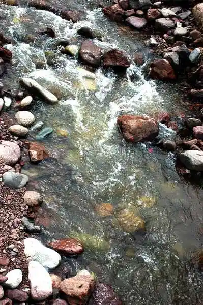 新彊那拉提草原掠影