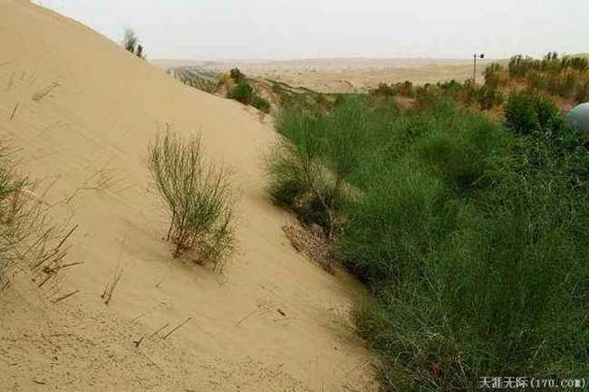 穿越塔克拉玛干（下）,图十三