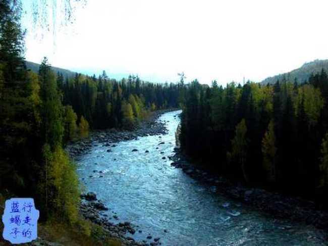 新疆圆舞曲3,图七