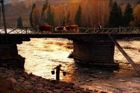 喀纳斯金秋掠影记