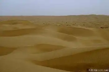 穿越塔克拉玛干（中）,图二十六