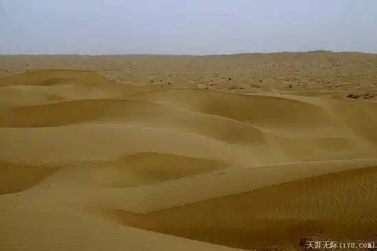 穿越塔克拉玛干（中）